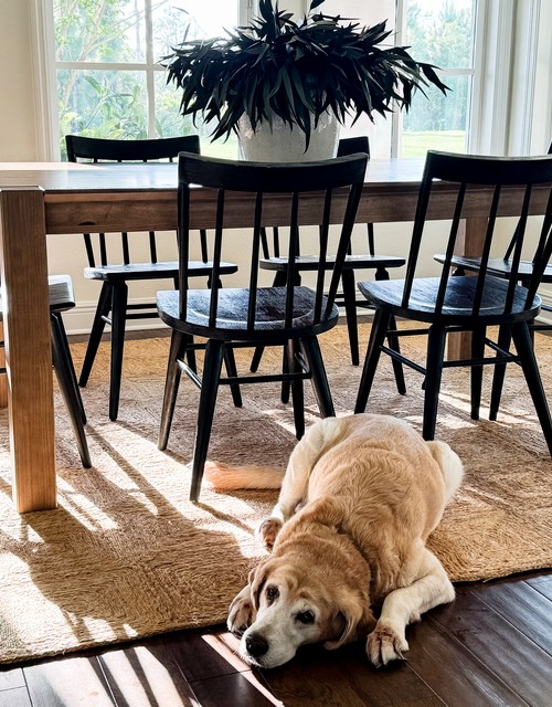 Natural Fiber Rug - NFB480A - Dining Room